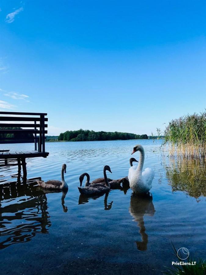 Resort By Nava Lake Aukštadvaris Exteriér fotografie